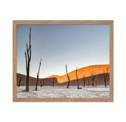 Namibian Desert