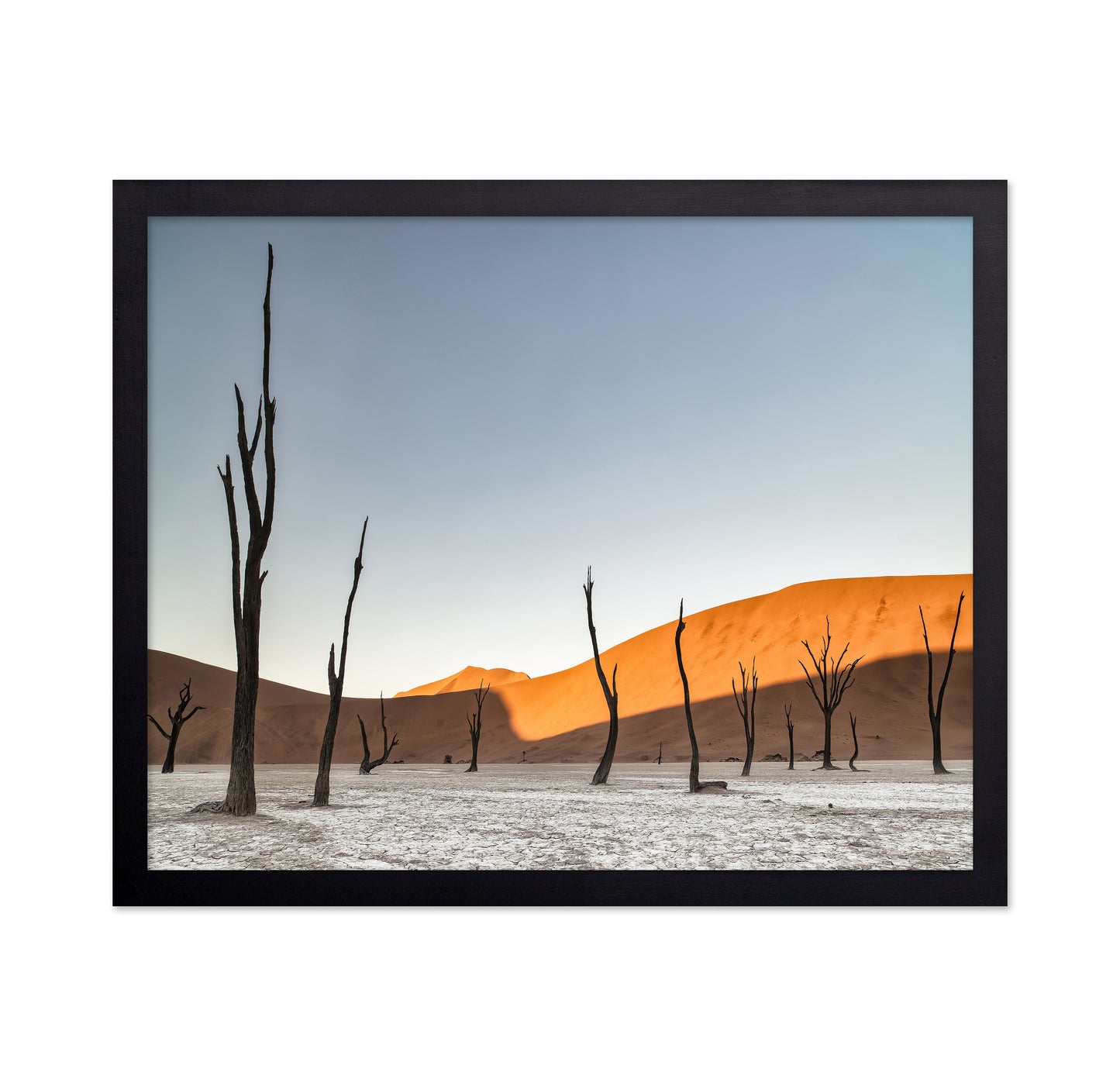 Namibian Desert