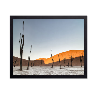 Namibian Desert