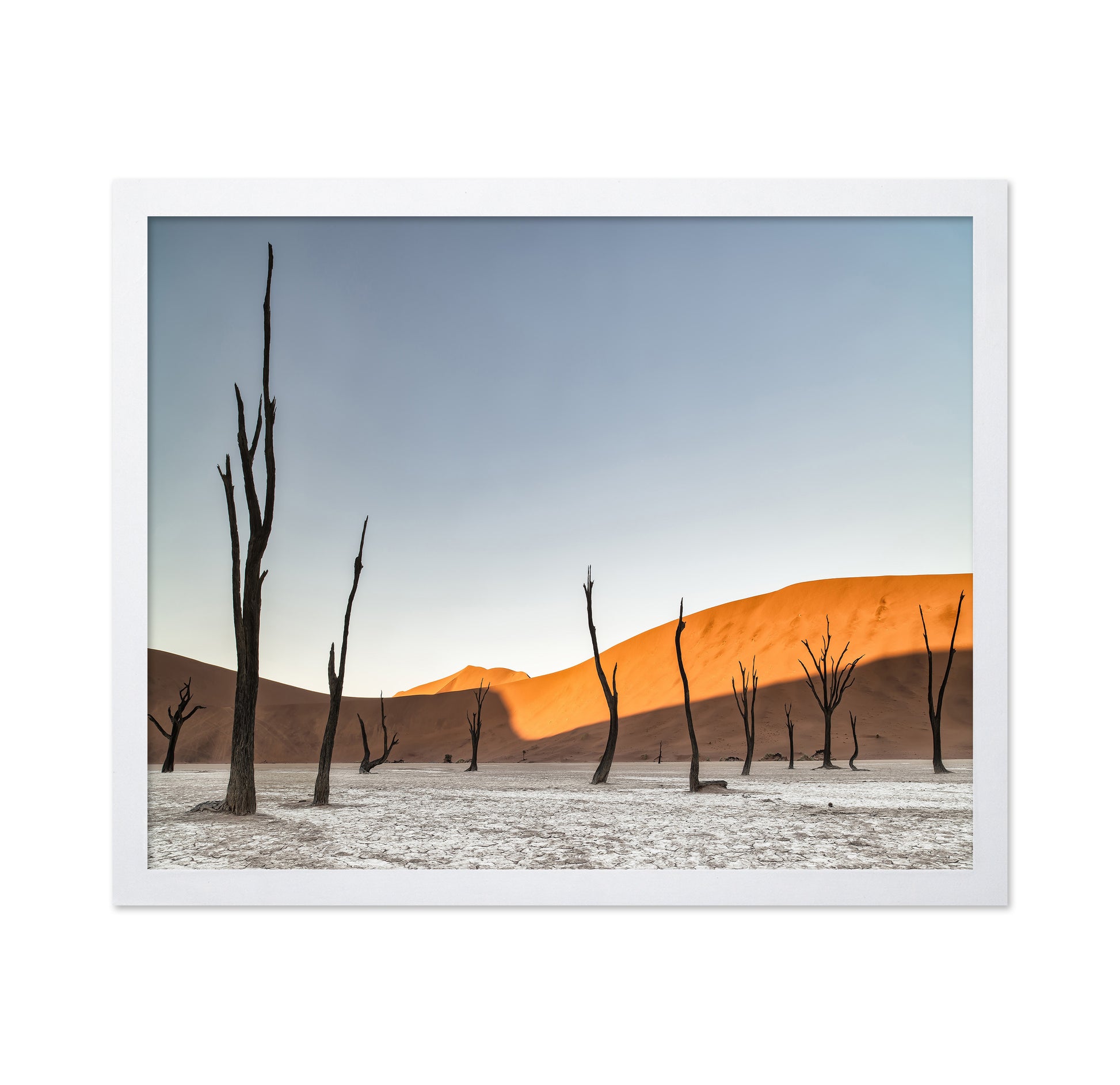 Namibian Desert