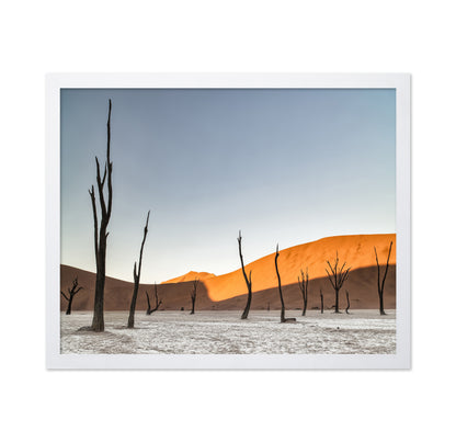 Namibian Desert
