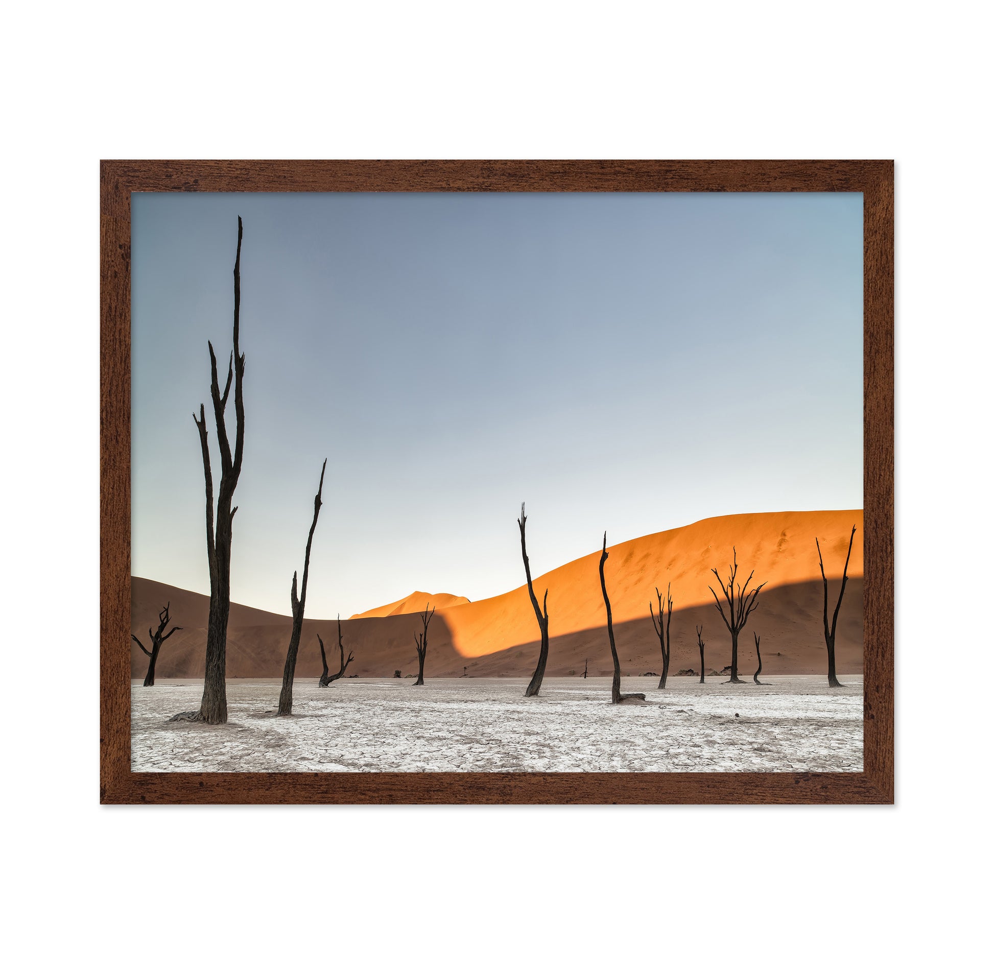 Namibian Desert