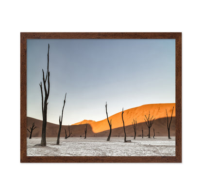 Namibian Desert