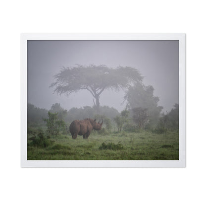 A Black Rhino In The Morning Fog