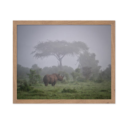 A Black Rhino In The Morning Fog