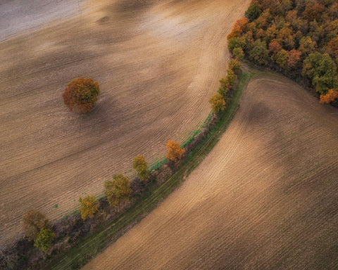 Over the Tuscany in Autumn