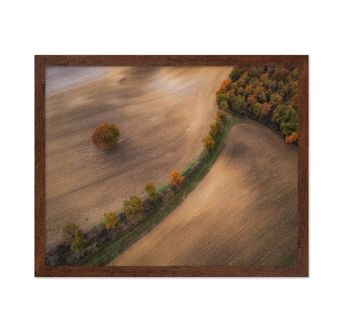 Over the Tuscany in Autumn