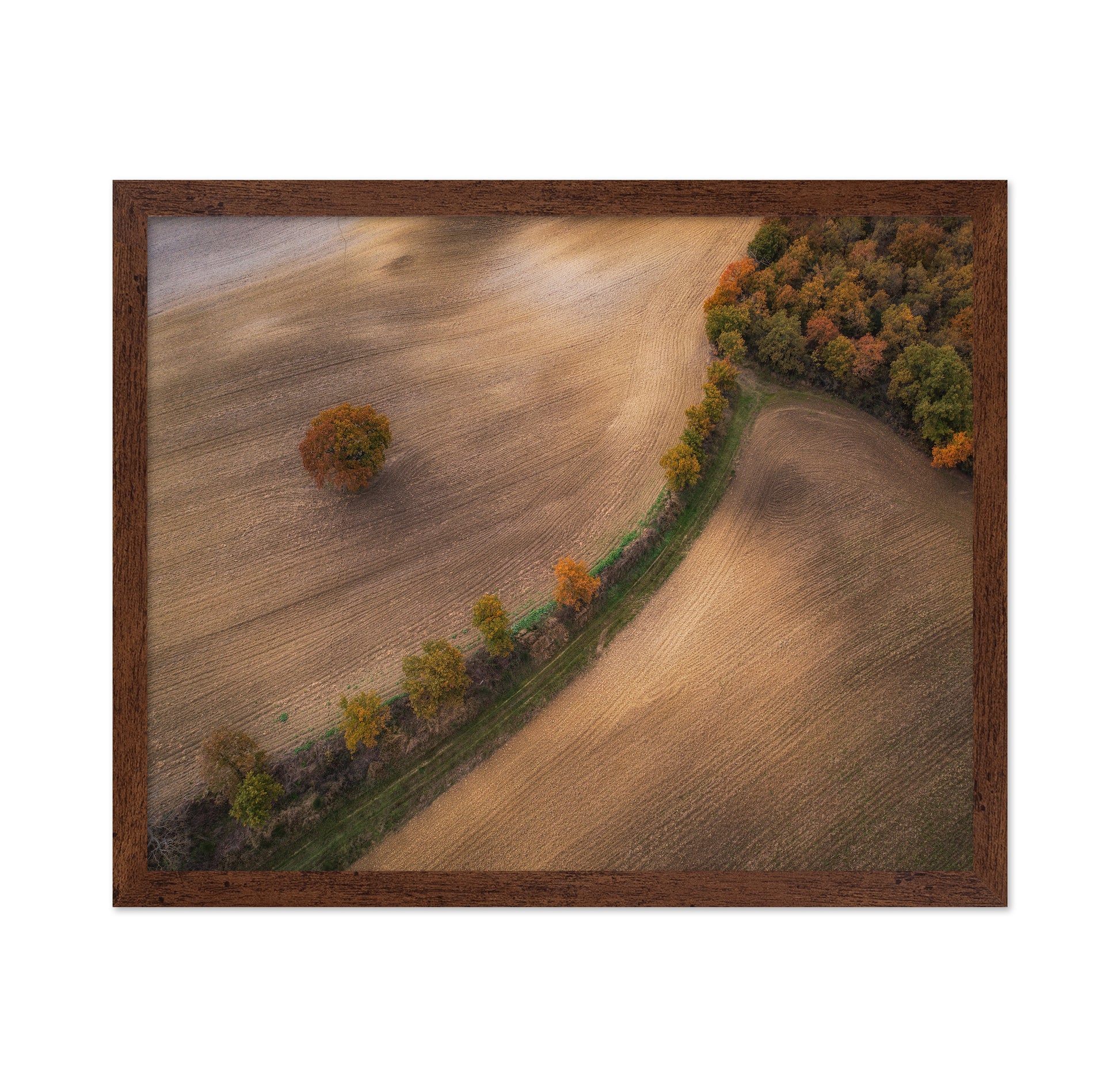 Over the Tuscany in Autumn