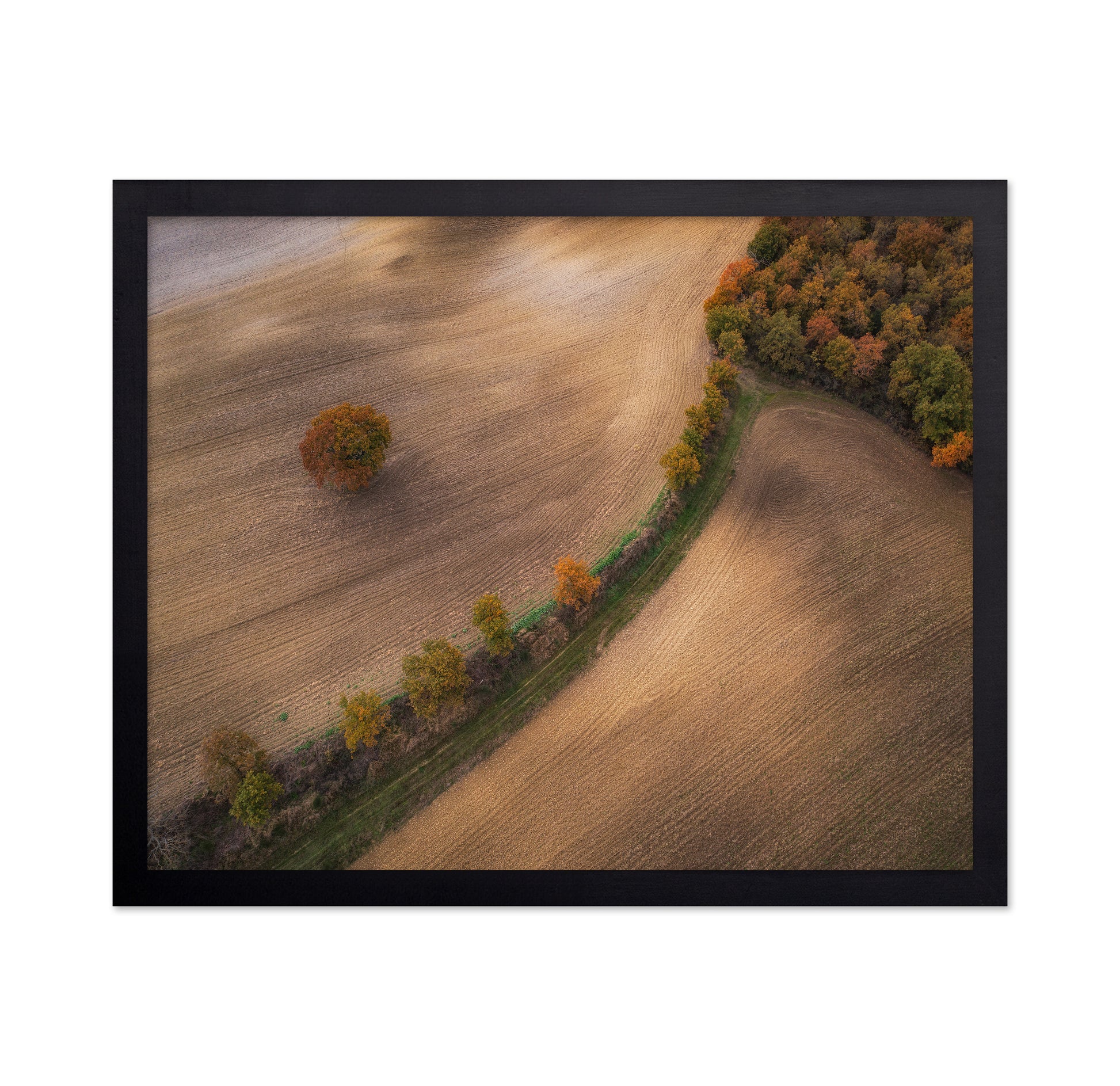 Over the Tuscany in Autumn