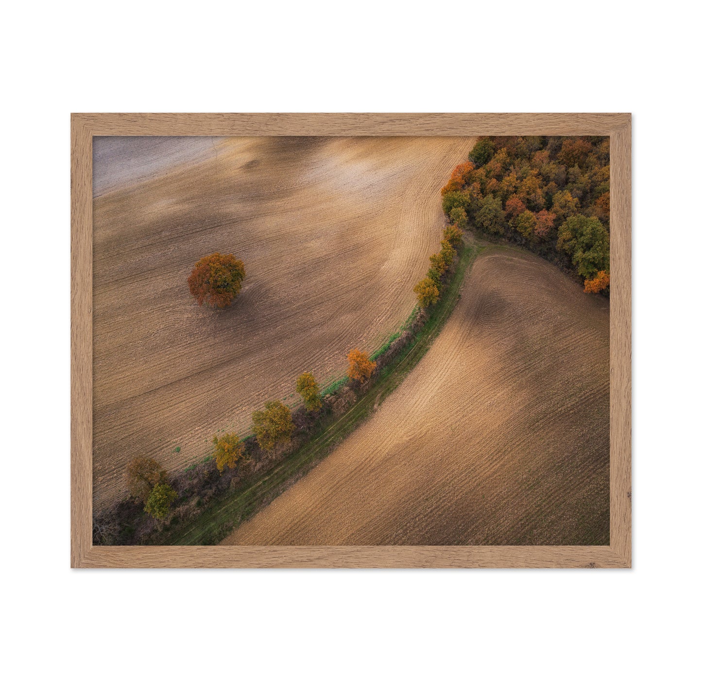 Over the Tuscany in Autumn