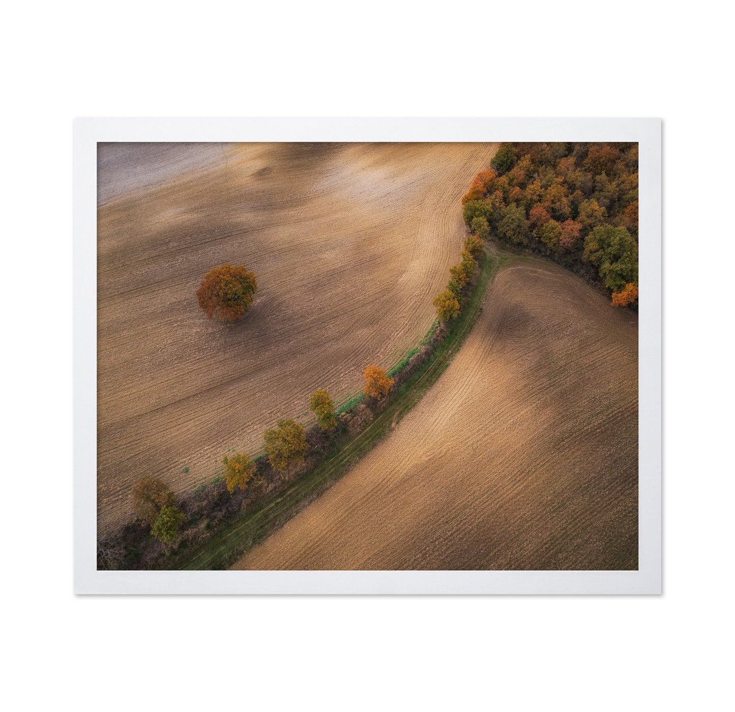 Over the Tuscany in Autumn