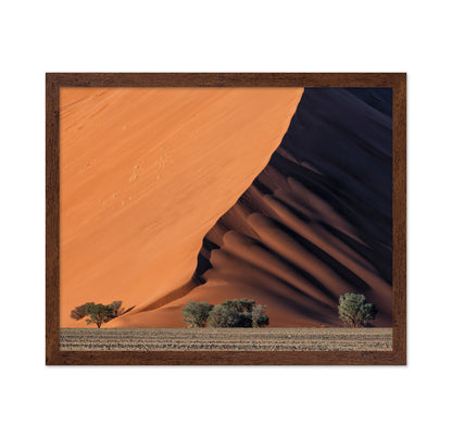 Life In The Desert