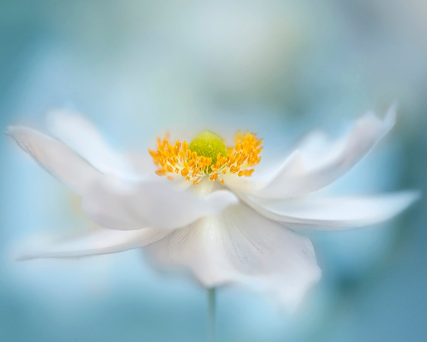 Fragility