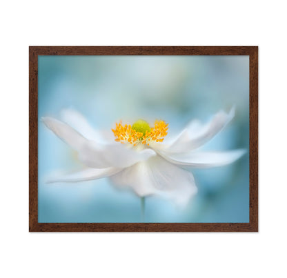 Fragility