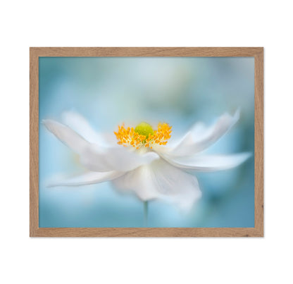 Fragility