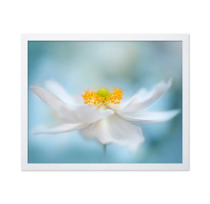 Fragility