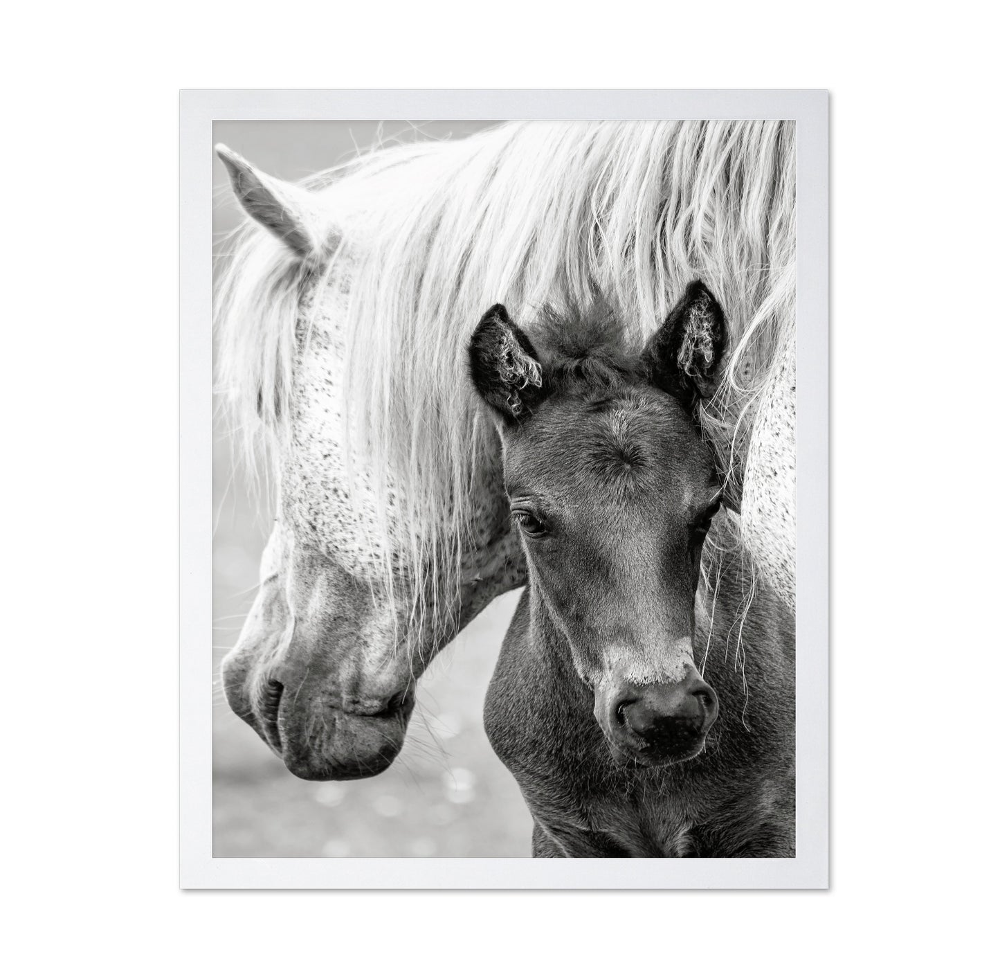 The Foal