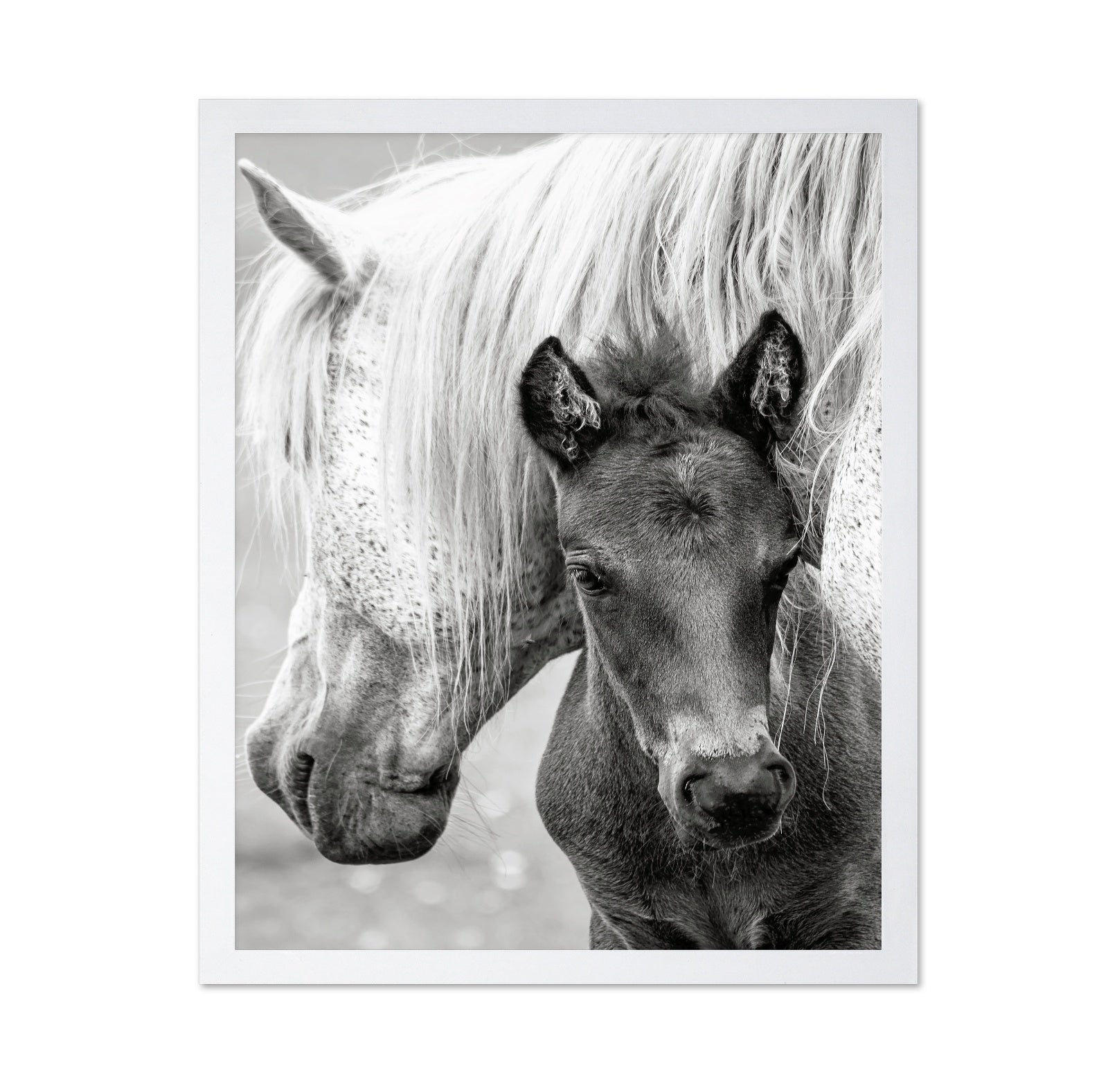 The Foal