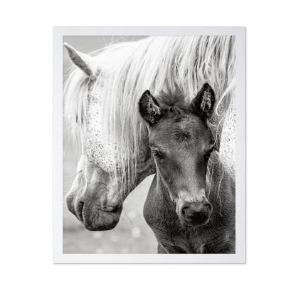 The Foal