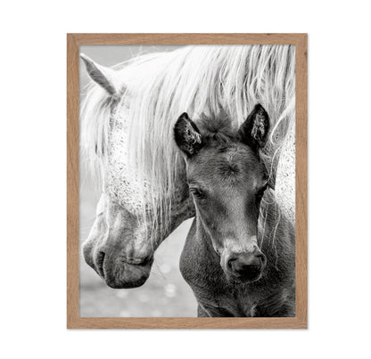 The Foal