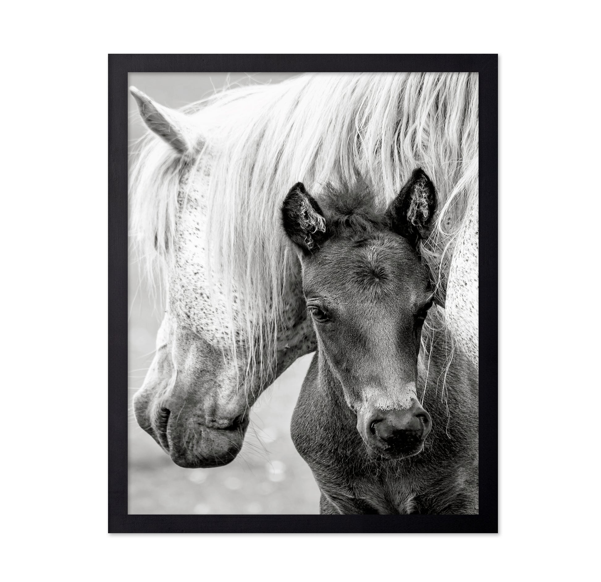 The Foal