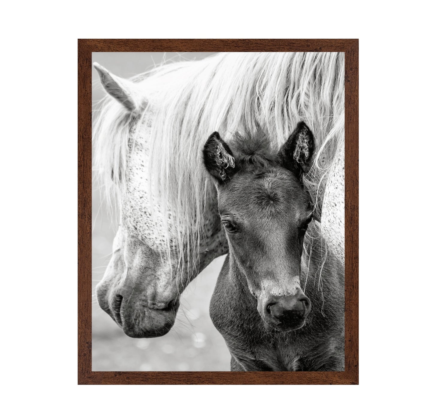 The Foal