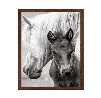 The Foal