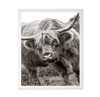 The Bull
