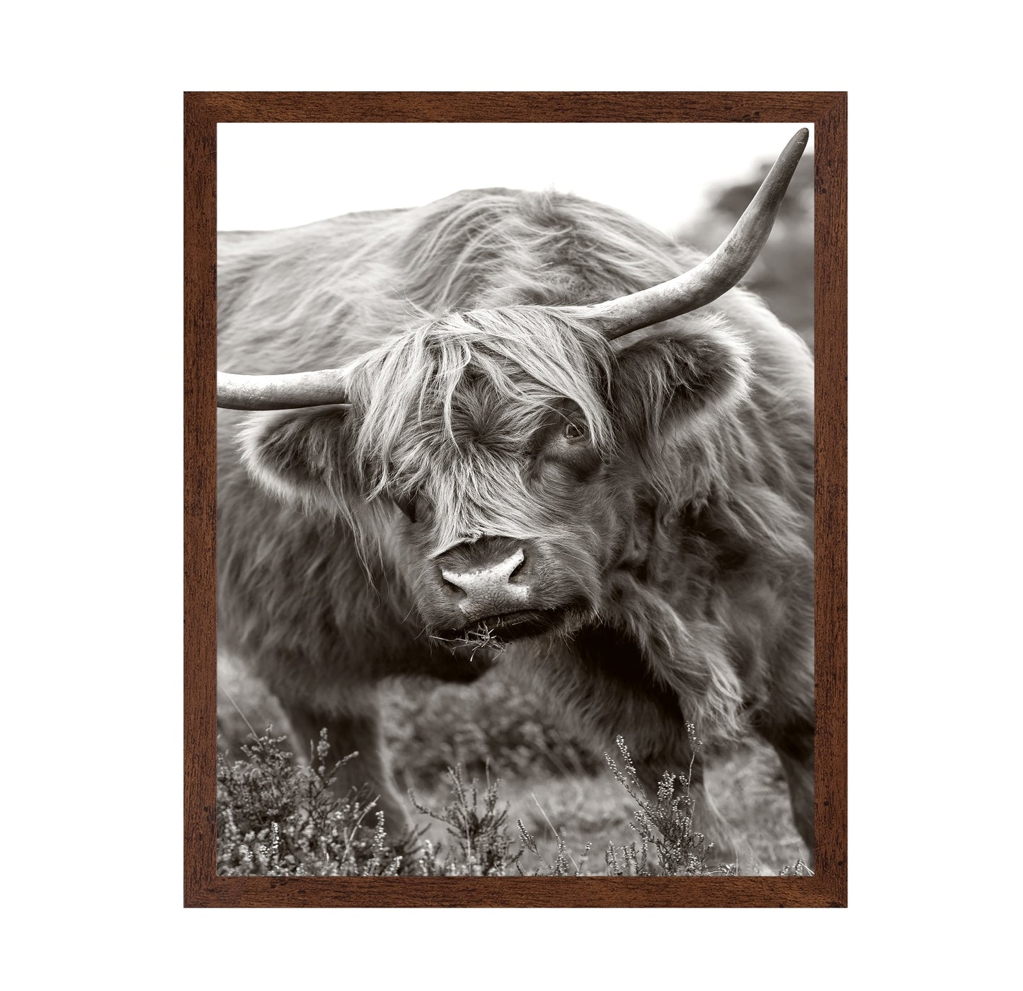 The Bull
