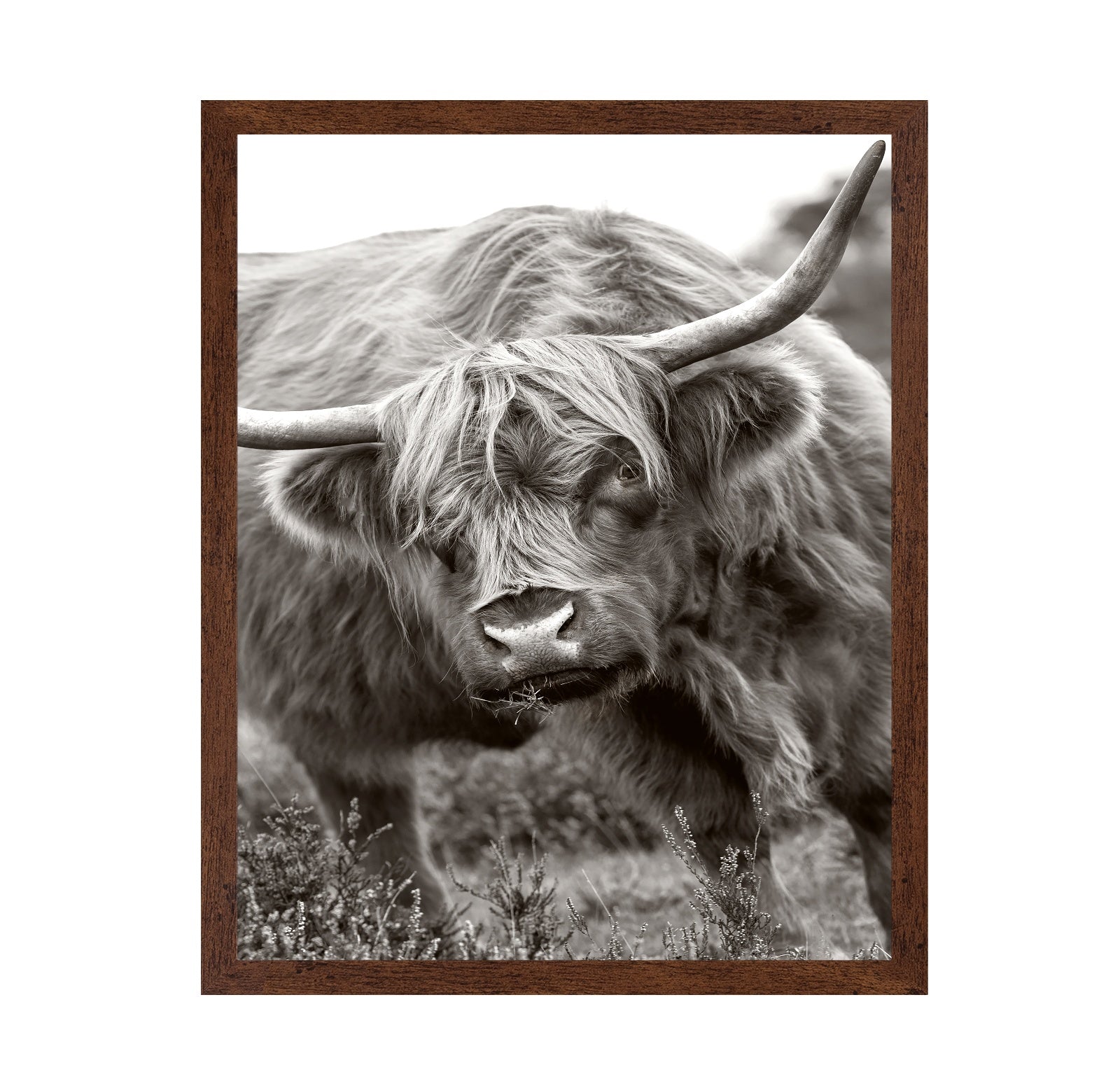 The Bull