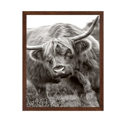 The Bull