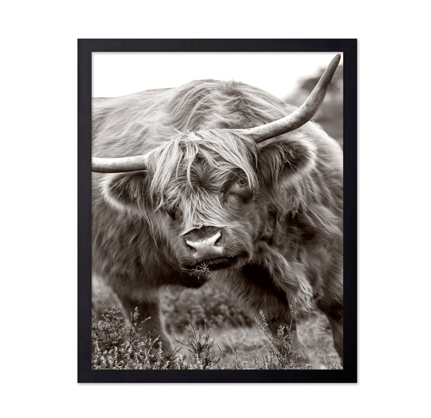 The Bull