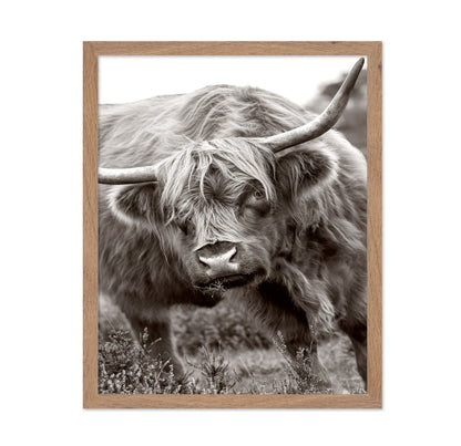 The Bull