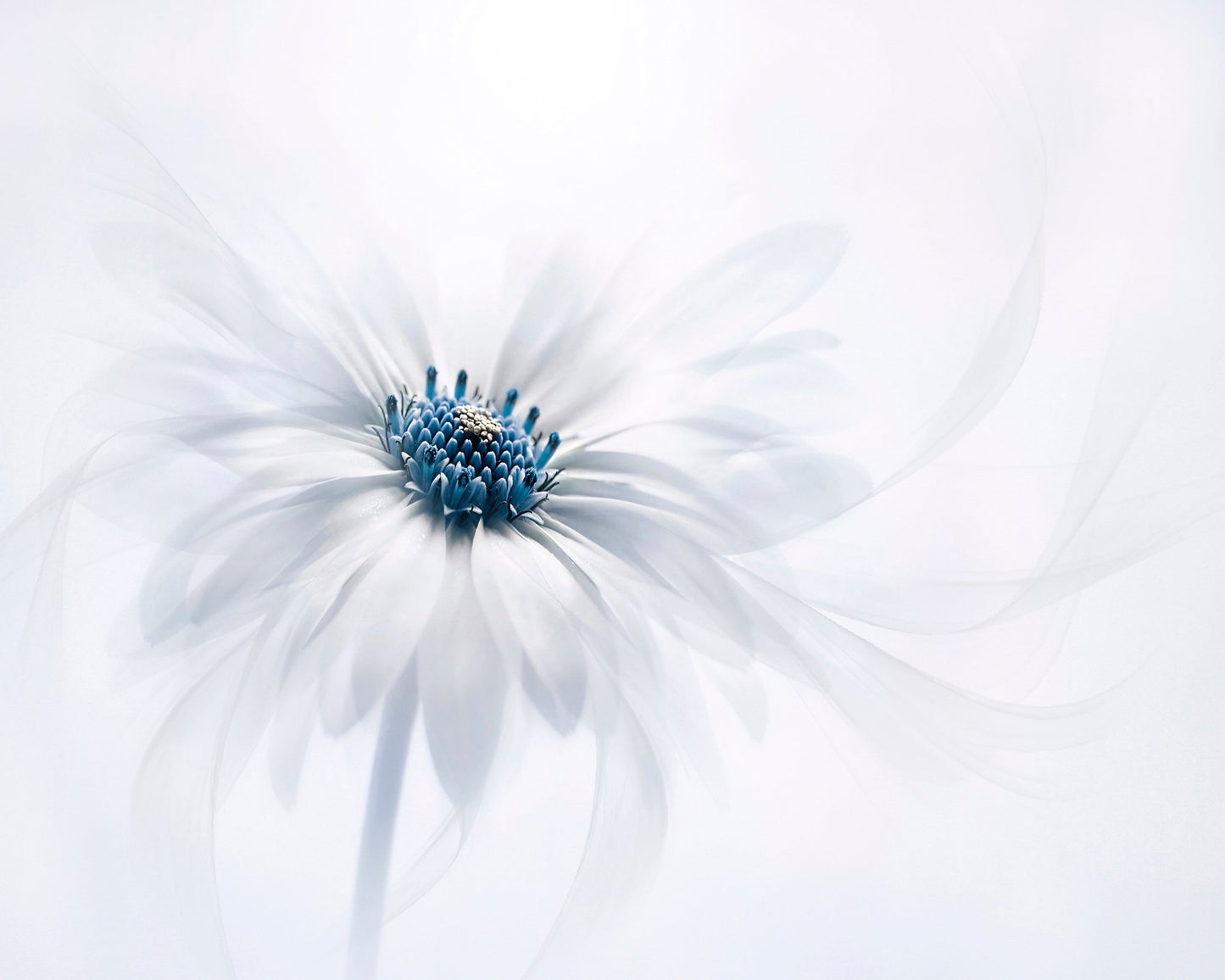 Serenity No 2
