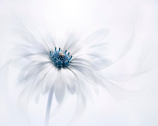 Serenity No 2