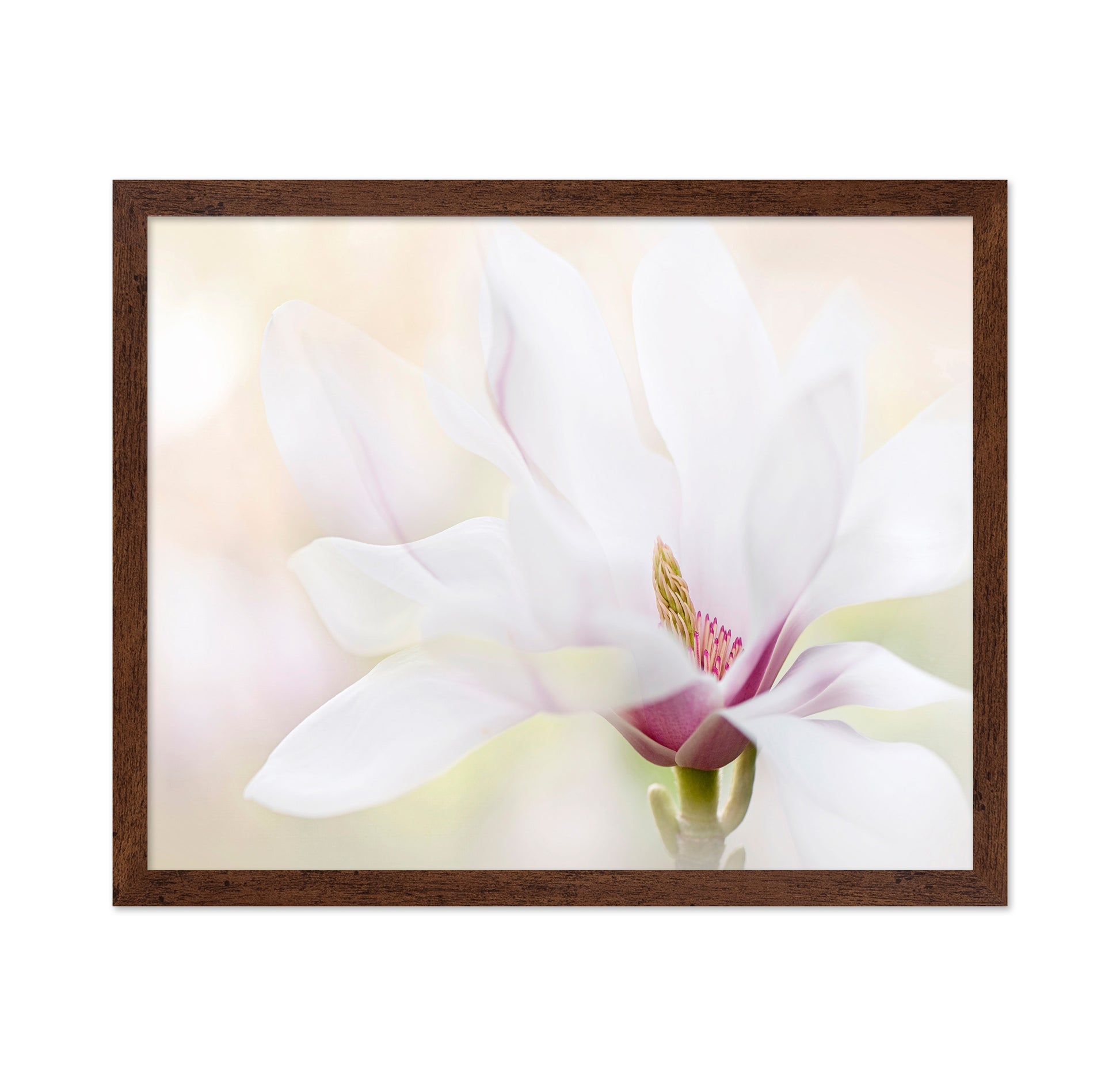 Purity
