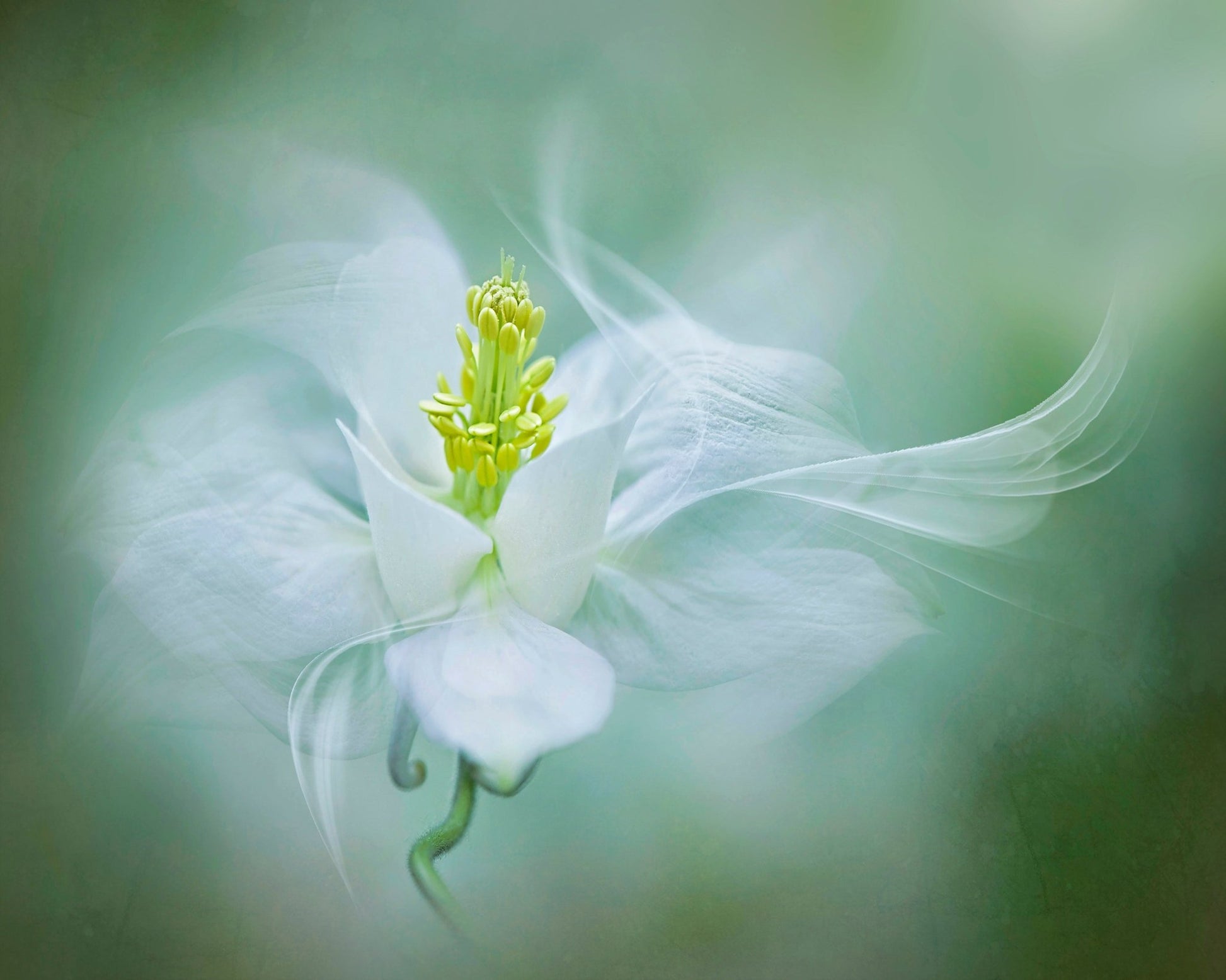 Mystical