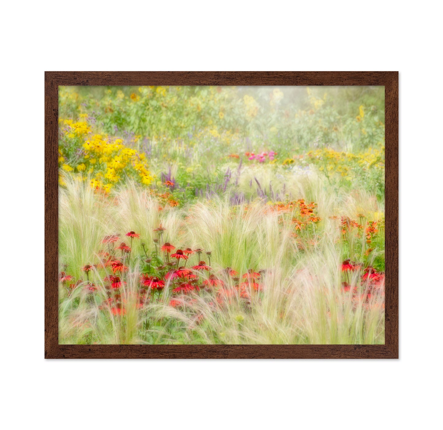Summer Reverie