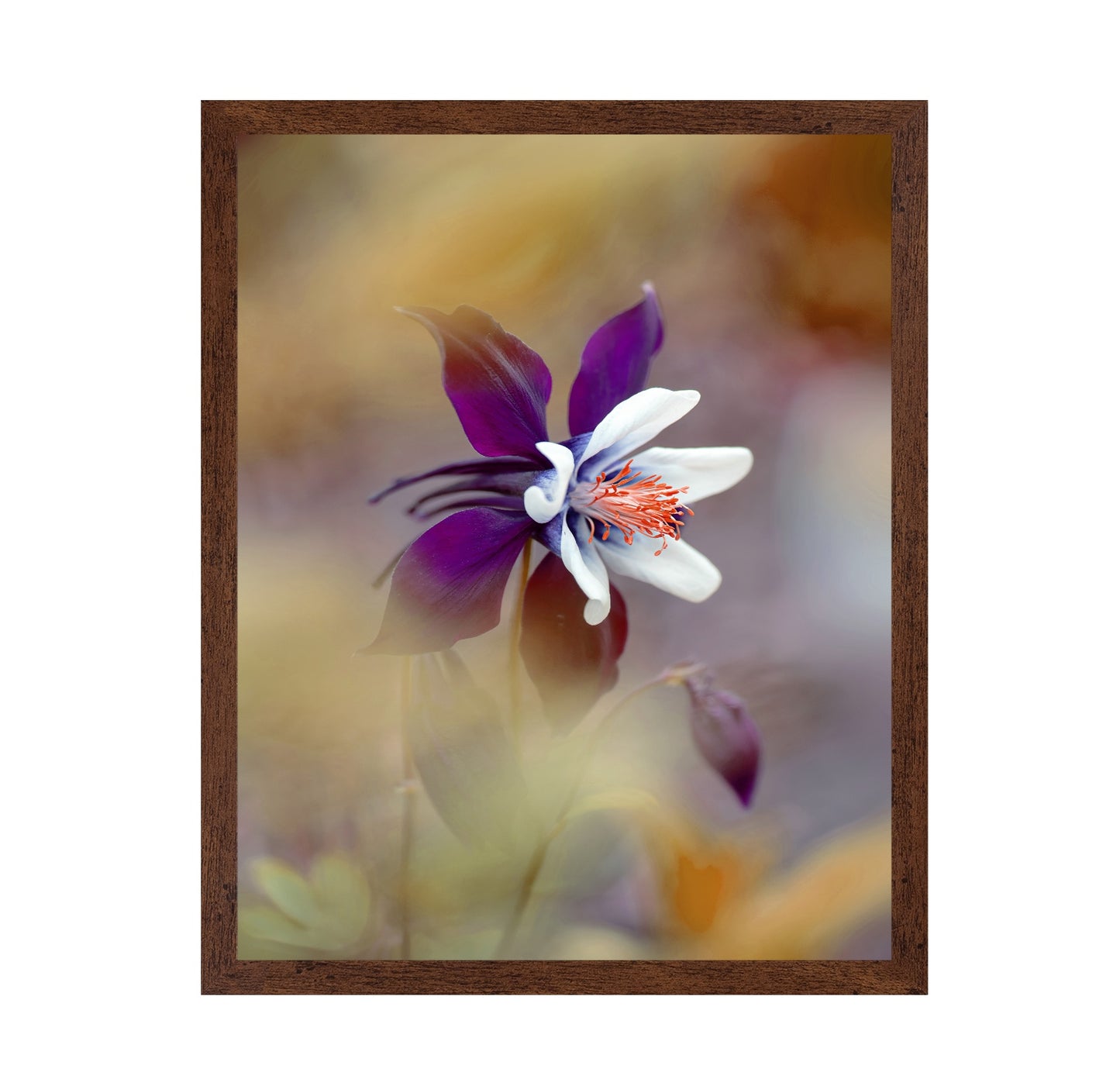 Columbine