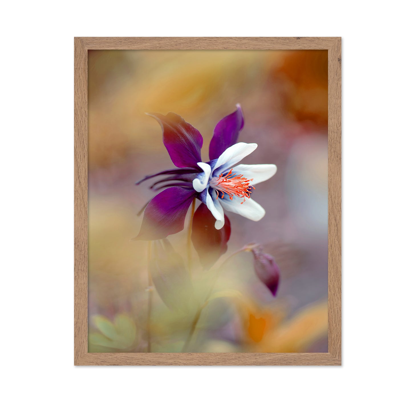Columbine
