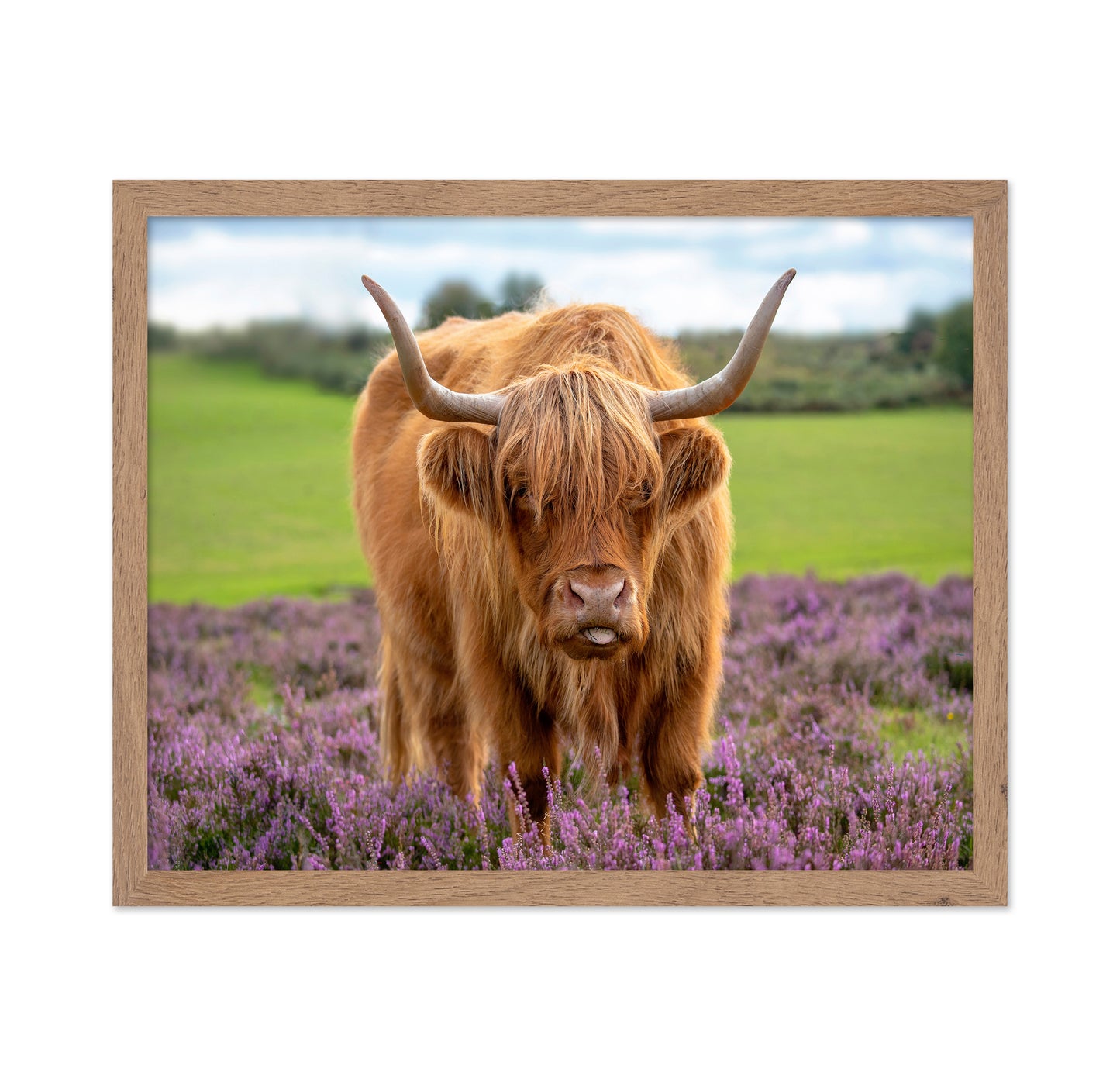 Highland