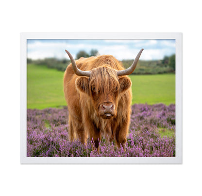 Highland
