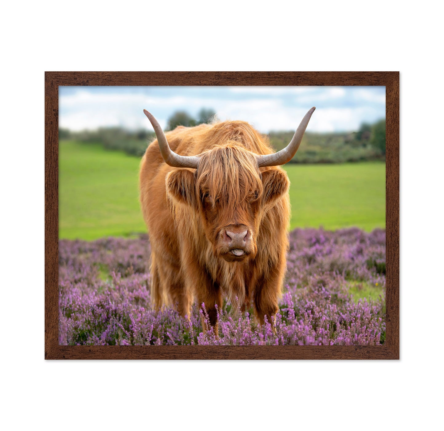 Highland