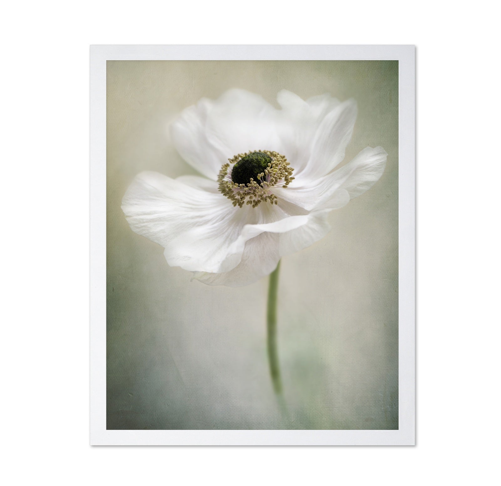 Single White