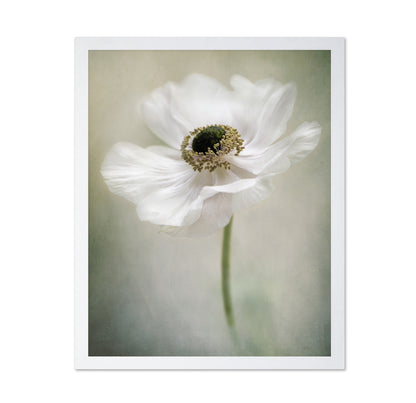 Single White
