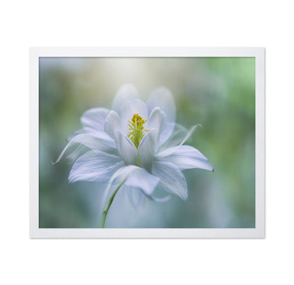Porcelain Petals