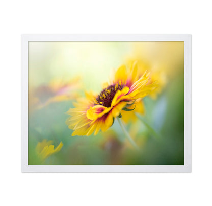 Yellow Blooms