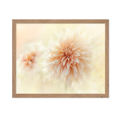 Cafe 'Au lait' Dahlia