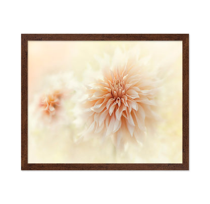 Cafe 'Au lait' Dahlia