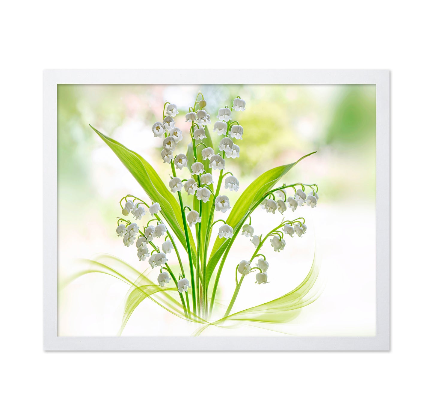 Lily Of The Valley